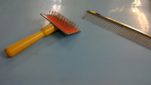 WIN_20170124_09_59_38_Pro