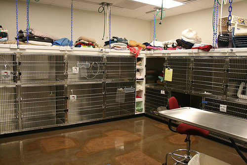 13629331123_b83abd6634