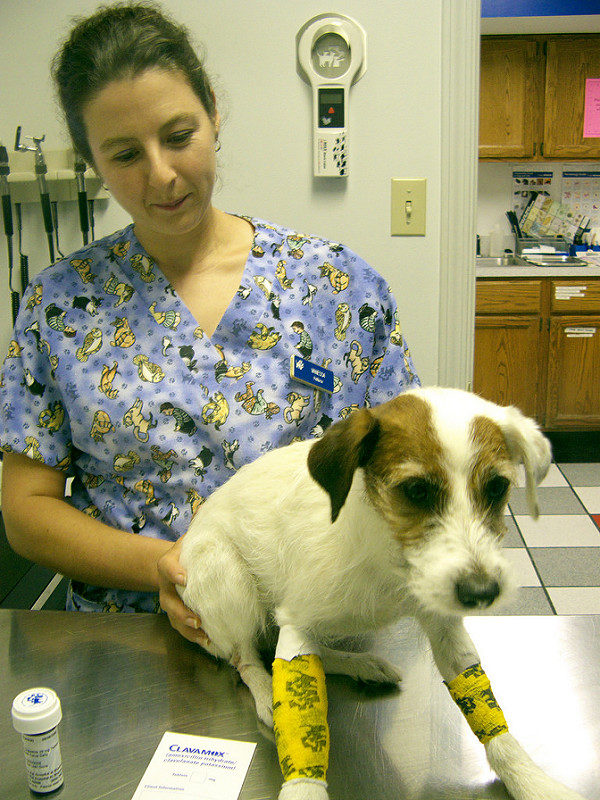 2561702530_4bbbb17c0b_c