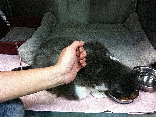 4551105979_6927339e49_c