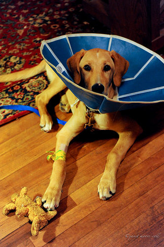 5871283355_29d453a52a