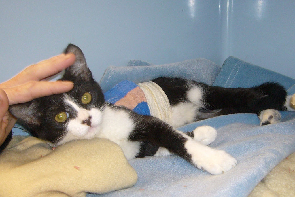 752580635_8a95cde357_b