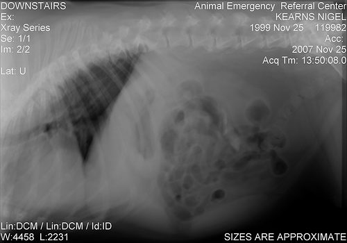 2064150560_156c5a91a6