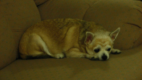 3018617738_0c9c1f195b