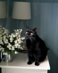 4674838967_e4250f36ee