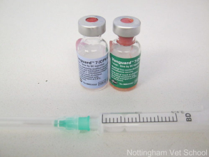 5794765130_e91f97a2ac