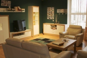 living-room-facilities-live-decoration-1
