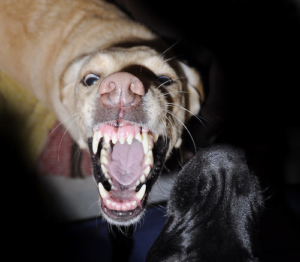 6359592057_52003954d0